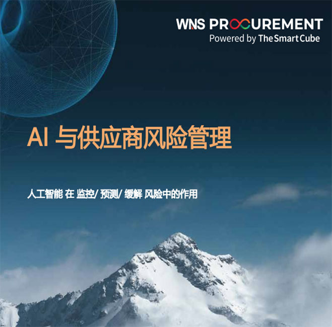 AI在供应商风险管理中的作用